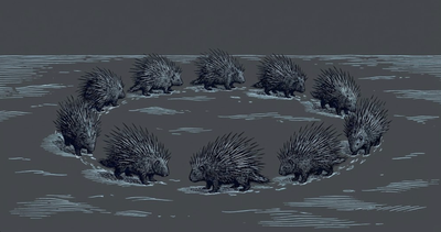 The Porcupine Dilemma: The Art of Corporate Distance